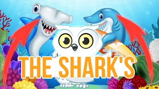 SHARK ATTACK😱 ARE THEY SO DANGEROUS😨 Discover the Ocean’s Top Predator with Zoe [upl. by Taveda]