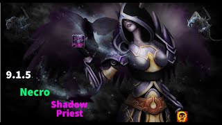 Gladiator Shadow Priest 915 Necro PvP Guide  Shadowlands S2 [upl. by Ordnagela329]