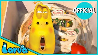 LARVA  CUP OF NOODLES  Best Cartoon Movie  Cartoons  Comics  LARVA Official [upl. by Lamonica888]