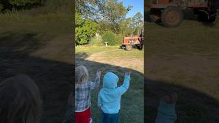 Farm Chores farming homestead sheepfarming chicken anatolianshepherd learning chores [upl. by Clareta]