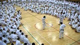 Kanazawa Diazo amp Nobuaki Jiyu Ippon Kumite [upl. by Anitniuq]