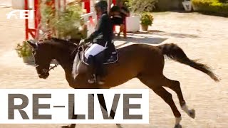 RELIVE  2nd competition  Individuals amp Teams I FEI Jumping European Championships for Veterans 24 [upl. by Nirrak420]