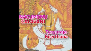 Nagomomu Galavani  Tyagaraja Keerthana  lyrics and meaning in English [upl. by Einahpetse906]