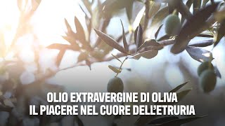 Olio extravergine di oliva Il piacere nel cuore dell’Etruria [upl. by Salazar635]