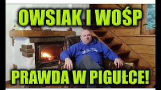 OWSIAK I WOŚP  PRAWDA W PIGUŁCE [upl. by Eimme]