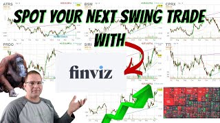 Find your Next profitable Swing Trade with Finvizcom How to set up my favorite Stock Screener [upl. by Wolk]