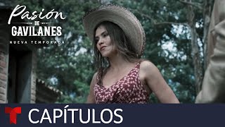 Pasión de Gavilanes Nueva Temporada  Capítulo 8  Telemundo [upl. by Imtiaz]