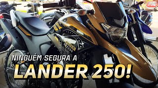 LANDER 250 DISPARA E ASSUME A LIDERANÇA NAS VENDAS 🔥 yamaha [upl. by Jobey]