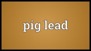 Pig lead Meaning [upl. by Becki]