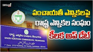 సర్పంచ్ ఎన్నికలపై ఎన్నికల సంఘం మరో అప్డేట్  Sarpanch Elections New Update [upl. by Yoshi]