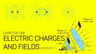 Exercise 11  Explained  Electric Charges and Fields  NCERT Physics Class  12  Ask Doubts jee [upl. by Mcdermott165]