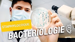 MICROBIOLOGIE🦠 STAPHYLOCOQUECOCCI GRAM3ÈME MÉD🩺 4ÈME PHARMACIE💊 2ÈME CHIRDENT🦷 [upl. by Eicul927]