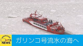 「めっちゃやばい」観光客から驚きの声…流氷観光船ガリンコ号流氷で埋め尽くされた海へ 紋別市 [upl. by Atterol]