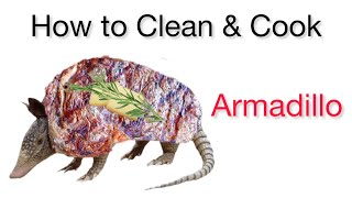 How to clean and cook Armadillo [upl. by Sucramed997]