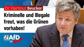 Kriminelle und Illegale freut was die Grünen vorhaben – Dr Hartmut Beucker AfD [upl. by Adi371]