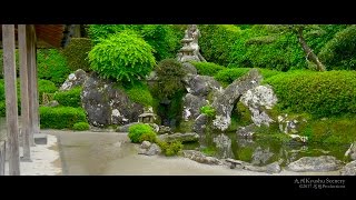 4K 知覧武家屋敷庭園 Chiran Samurai Gardens  Kagoshima Kyushu Japan [upl. by Leba579]