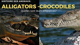 Crocodiles amp Alligators quelles différences HDA n°2 Crocodile Alligator Gavial Sans Jamy 😢 [upl. by Yehtomit]