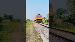 Wap4 loco in jan shatabdi express train youtubeshorts shortvideo [upl. by Enaled706]