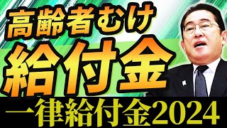 【一律給付金】2024年いつ？高齢者むけ給付金【給付金】給付金10万円｜自治体 [upl. by Wooster975]