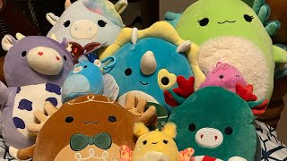 First Mini Squishmallow Hunt amp Haul for 2024 [upl. by Gaven556]