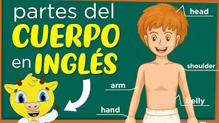 Partes del Cuerpo en Inglés  Inglés para Principiantes [upl. by Prisca]