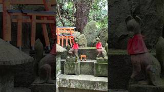 Santuario de Inari Tori en Kioto [upl. by Eilzel]