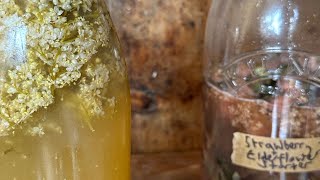 Elderflower Cordial Recipe 2024 [upl. by Lertnom]