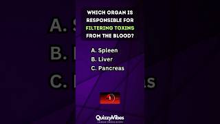 🧠 Quickfire Body Quiz How Well Do You Know Your Organs humanbody anatomy quiztime [upl. by Ogeid862]