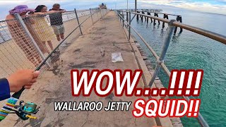 I was having conversation when this happened  Wallaroo Jetty [upl. by Hoffmann629]