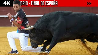 MADRID ▪ FINAL DE ESPAÑA DE RECORTE LIBRE CON TOROS 2021 [upl. by Ahsircal799]