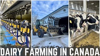 A Day In The Life Of A Canadian Dairy Farmer [upl. by Aivat]