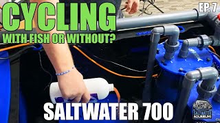 CYCLING Your Saltwater Aquarium With OR Without Fish  Saltwater 700 [upl. by Mckale350]