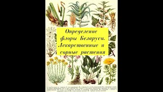 Определение флоры Беларуси Лекарственные и сорные растения [upl. by Eirtemed]