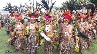 Morobe show 2022 recap [upl. by Alviani]