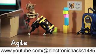 OpenCat  opensource Arduino and Raspberry Pibased quadruped robotic pet [upl. by Nell428]