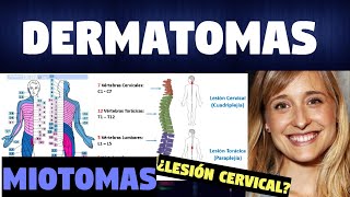 TODO SOBRE LOS DERMATOMAS Y MIOTOMAS  FUNCIONES [upl. by Annaej]