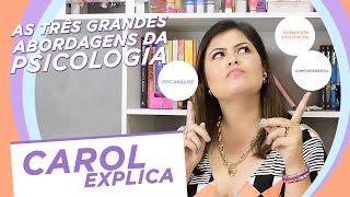 58  Qual a melhor abordagem da Psicologia [upl. by Oecile]