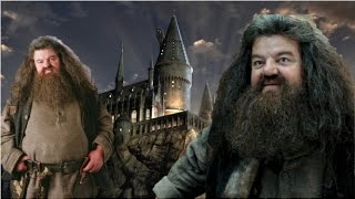 What If Hagrid Went Back To Hogwarts As A Student [upl. by Baun]