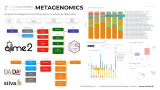 Metagenomic Data Analysis on TBioinfo Server QIIME2 [upl. by Niatsirhc162]