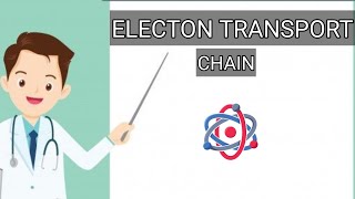 Electron transport chain or ETC Biochemistry  Tamil made easy [upl. by Meedan622]