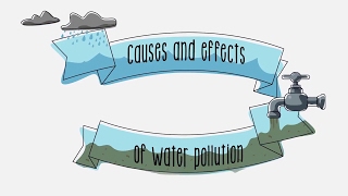 Causes and effects of water pollution  Sustainability  ACCIONA [upl. by Yrannav382]