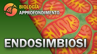 BIOLOGIA  Origine delle prime cellule e Endosimbiosi  Approfondimento [upl. by Esina]