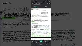 130 Recomendaciones Sra Juez Dra Alicia del Rosario Cadavid de Suárez Juzgado 13 de Flia Btá [upl. by Ggerg650]