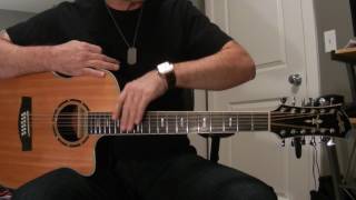 12 String Guitar Must Know Tips [upl. by Ahsaetan]