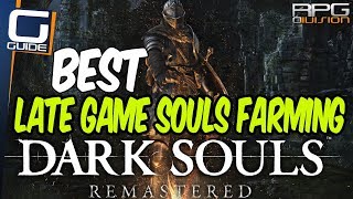 DARK SOULS  Best Late Game Souls Farming Method [upl. by Rebna340]