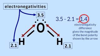 Polar Molecules Tutorial How to determine polarity in a molecule [upl. by Down711]