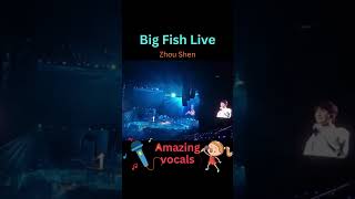 Beautiful Music Big Fish Live by Zhou Shen 周深 TikTok himec929 [upl. by Cuhp497]