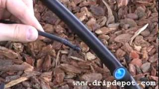 Drip Irrigation Systems How to install Pressure Compensating Button Drippers [upl. by Setiram]