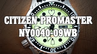 Citizen Promaster NY004009WB  Review Measurements and Lume [upl. by Stasny]