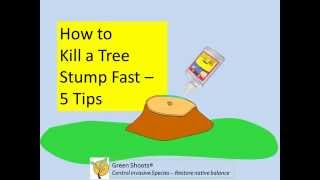 Stump Killer  5 Tips for Success [upl. by Olivia776]